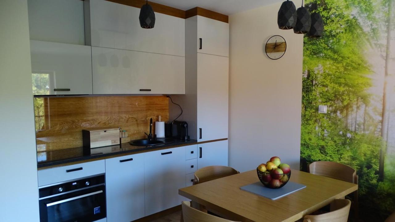 Apartament Delux 2 Schreiberhau Exterior foto
